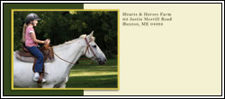 Hearts & Horses - Brochure