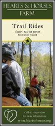 Hearts & Horses - Brochure